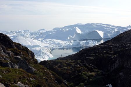 Podél ledových ker se proháněly velryby.