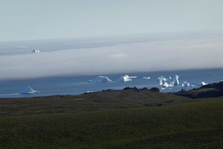 Při návratu zpátky k pobřeží jsme obdivovali kry vyčnívající z mlhy.