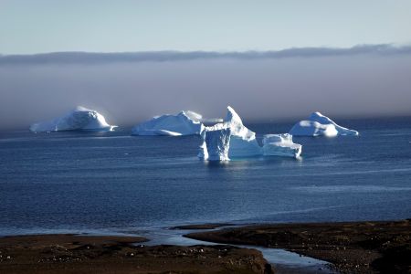 Při návratu zpátky k pobřeží jsme obdivovali kry vyčnívající z mlhy.