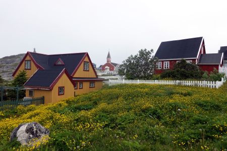 Domky v Nuuku obklopené loukami žlutých květin.