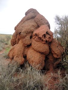 Veliké termitiště