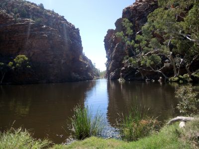 Ze severu Austrálie jsme se vrátili dřív, máme tedy na Rudý střed více času - Ellery Creek
