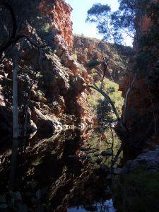 Západní Donnellovo pohoří je proraženo množstvím soutěsek - Serpentine Gorge