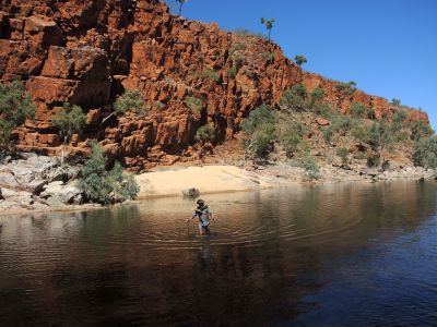 Nejkrásnější trek soutěskou Ormiston Gorge - byly tu však dlouhé brody.
