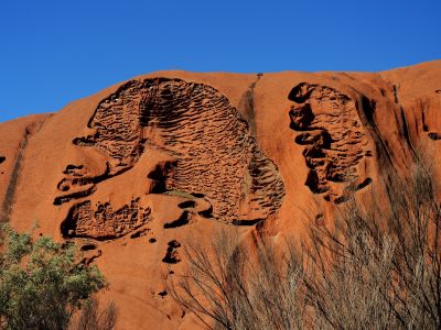 Uluru - detail skal.