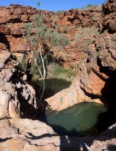 Nejspodnější tůně jsme obcházeli vrchem.