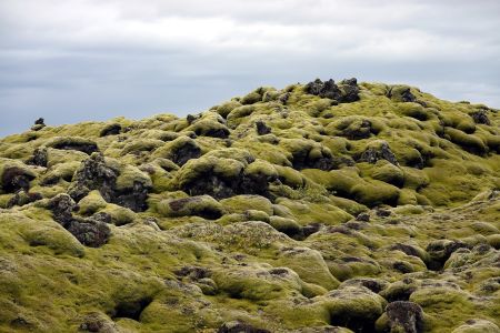 Lávové pole pokryté mechem