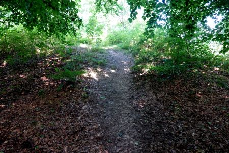 Ještě vyšší je další vrchol Yding Skovhøj , který dosahuje výšky 172,66 metrů. Není však považován za nejvyšší přirozený vrchol Dánska, protože jeho vrchol byl zvýšen mohylou postavenou v době bronzové.