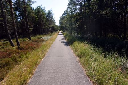Jedu po příjemné cyklostezce na východ.