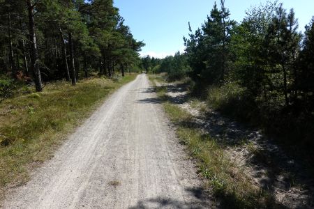 Někde je cesta prašná.