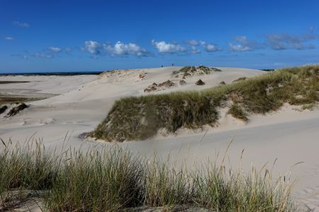 Duny jsou velmi rozsáhlé.