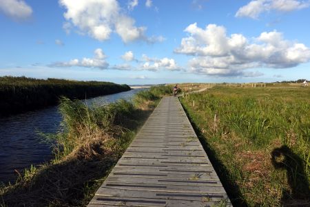 Tady má zase cyklostezka kvůli močálům dřevěný povrch.