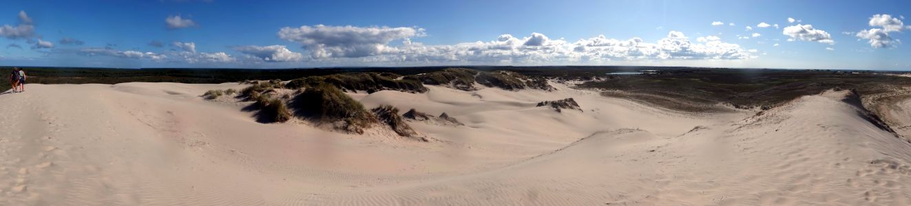 Na vrchole dun v Råbjerg Mile.