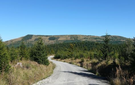 Blížím se k nejvyšším kopcům Levočských vrchů - vlevo je Ihla, vpravo Čierna hora.