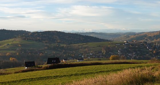 Přecházíme údolí a nastupujeme na vlastní hřeben Gorců - vzadu se objevují Západní Tatry.