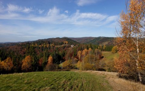 Podzimní šat stromů na hřebeni.