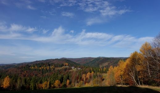 Podzimní šat stromů na hřebeni.