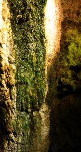 Stěny štoly porostlé mechem