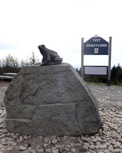 Žába na vrchole Skrzyczne.