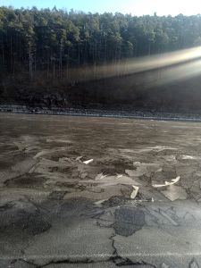 Slunce ozařuje krásné dlaždice.