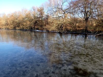I na Podhradském se objevily obrazce v ledu.