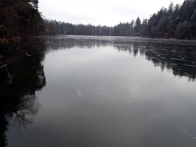 Černé sklo rybníku Ján