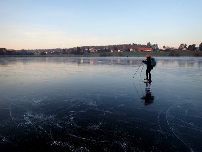 Louňovický rybník byl hodně obruslený.