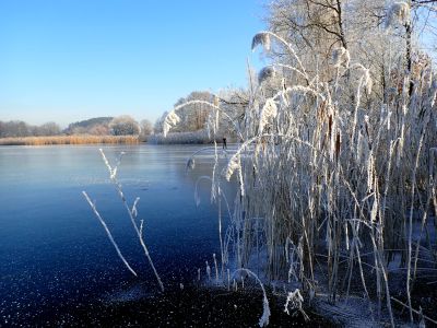Romantika Velkého chotilského rybníka