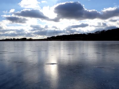 elmi kvalitní led na Labuti