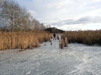 V rákosí na Zadním Topiči