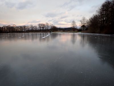 Zrcadlo na jihovýchodní straně Buzického rybníka