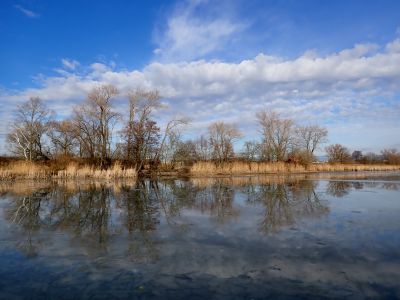 Modrá obloha přibývá