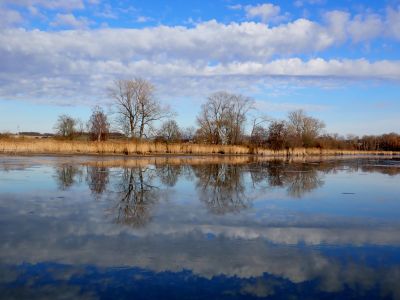Odrazy jsou čím dál krásnější.