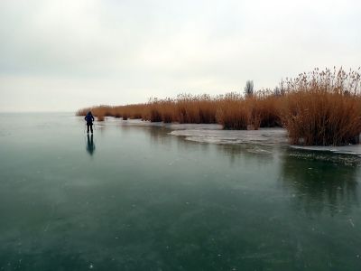 Objíždíme rozsáhlé plochy rákosí.