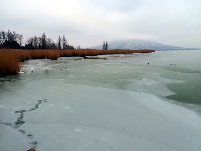 Objíždíme malá vodní jezírka s kachnami a labutěmi.