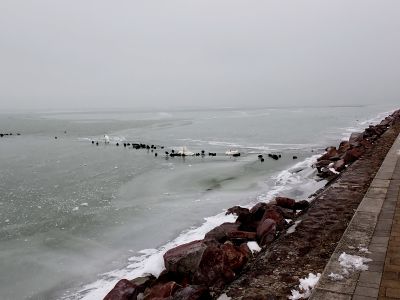 V Zánce dosahuje rozsáhlá vodní plocha s kačenami a labutěmi až ke břehu.