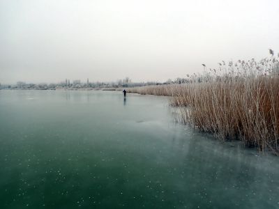 Po nádherném zelenkavém ledu podél rákosí.
