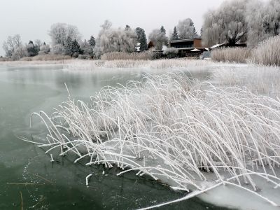 Atmosféra je naprosto jiná než před devíti lety.