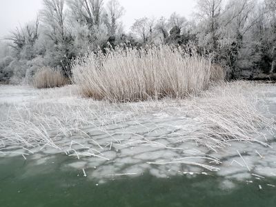 Všechno je úžasně namrzlé.