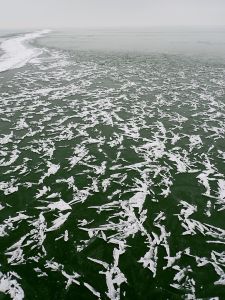 Balaton opět kouzlí.