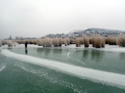 Nádherné bruslení kolem trsů rákosí.