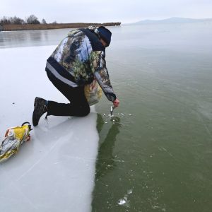V Badacsonylábdihegy vstupujeme na zelinkavý led.  Naměřil jsem 15 cm sílu ledu.