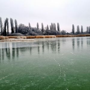 Atmosféra je naprosto jiná než před devíti lety.