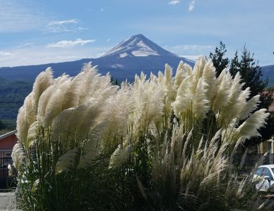 Volcán Llaima z městečka Melipeuco
