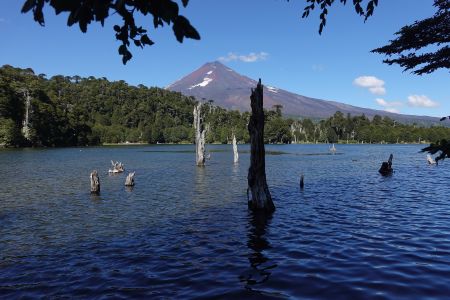 Pohled na Volcán Llaima od jezera Captrén