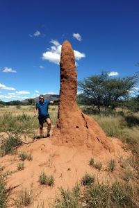 Obrovská terminiště potkáváme po celé Namibii.