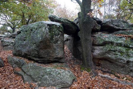 Ve skalním městě Sea of Stones u města Szentbékkálla